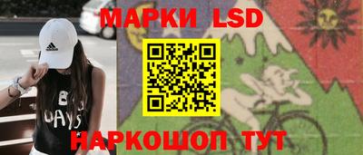PSILOCYBIN Можга