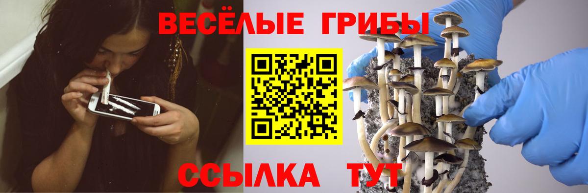 Сызрань  Галлюциногенные грибы Psilocybe  Псилоцибиновые грибы Cubensis  Вход с VPN 